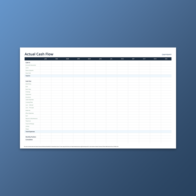 Actual Cash Flow by Sprintpoint